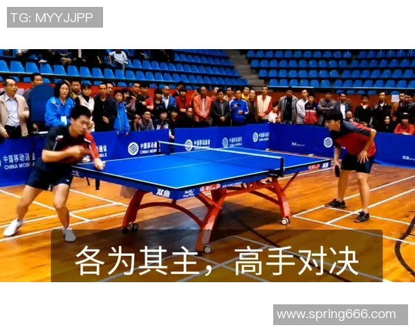 乒乓球激情碰撞展现速度与智慧的完美融合引领全民健身新风尚