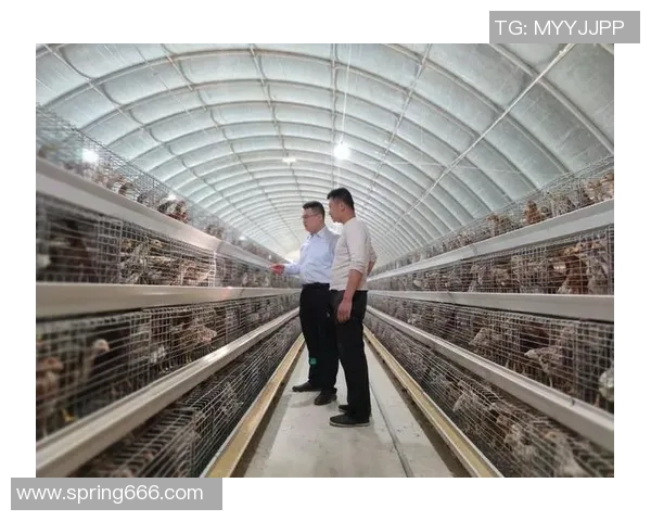 九台农商银行打造普惠金融新格局助力乡村振兴与地方经济高质量发展